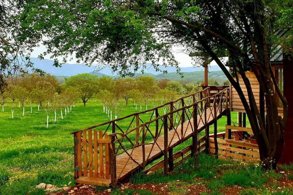 The Treehouse Of The Dragon Apartment Ioannina Exterior photo